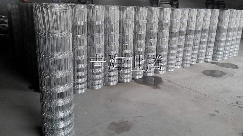 草原<a href='http://www.hlikea.com/hulanwangxilie/page_2.html'target='_blank'>護欄網(wǎng)</a>.jpg